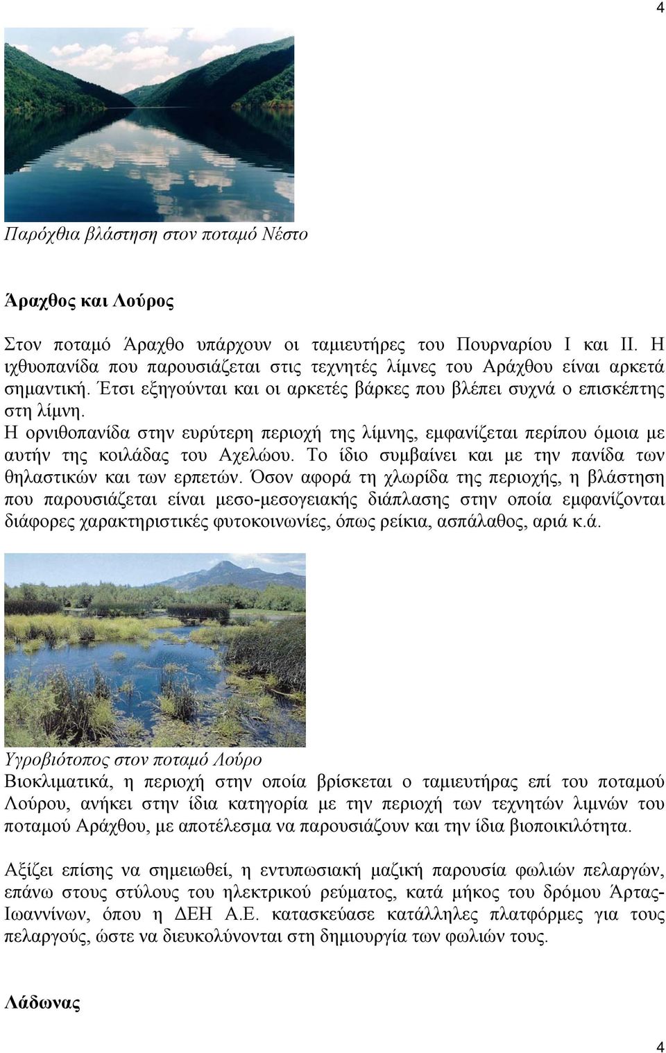 Η ορνιθοπανίδα στην ευρύτερη περιοχή της λίμνης, εμφανίζεται περίπου όμοια με αυτήν της κοιλάδας του Αχελώου. Το ίδιο συμβαίνει και με την πανίδα των θηλαστικών και των ερπετών.