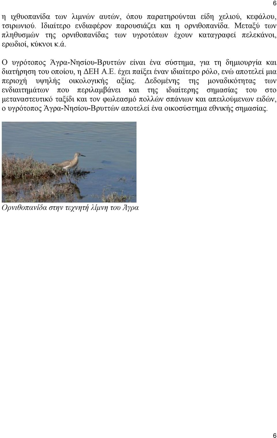 Ε. έχει παίξει έναν ιδιαίτερο ρόλο, ενώ αποτελεί μια περιοχή υψηλής οικολογικής αξίας.