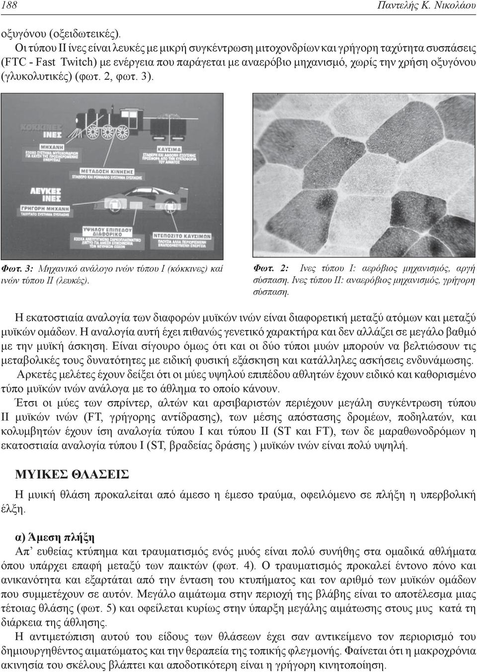 (γλυκολυτικές) (φωτ. 2, φωτ. 3). Φωτ. 3: Μηχανικό ανάλογο ινών τύπου Ι (κόκκινες) καί ινών τύπου ΙΙ (λευκές). Φωτ. 2: Ινες τύπου Ι: αερόβιος μηχανισμός, αργή σύσπαση.