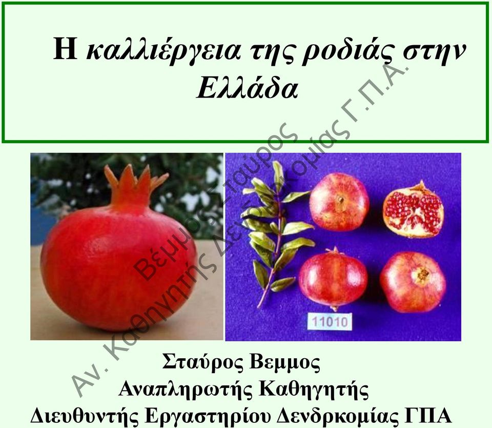 Αλαπιεξσηήο Καζεγεηήο