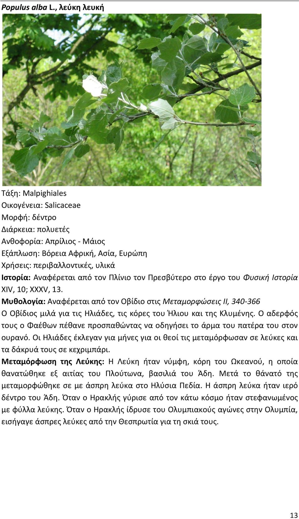 Πρεσβύτερο στο έργο του Φυσική Ιστορία XIV, 10; XXXV, 13. Μυθολογία: Αναφέρεται από τον Οβίδιο στις Μεταμορφώσεις II, 340-366 Ο Οβίδιος μιλά για τις Ηλιάδες, τις κόρες του Ήλιου και της Κλυμένης.