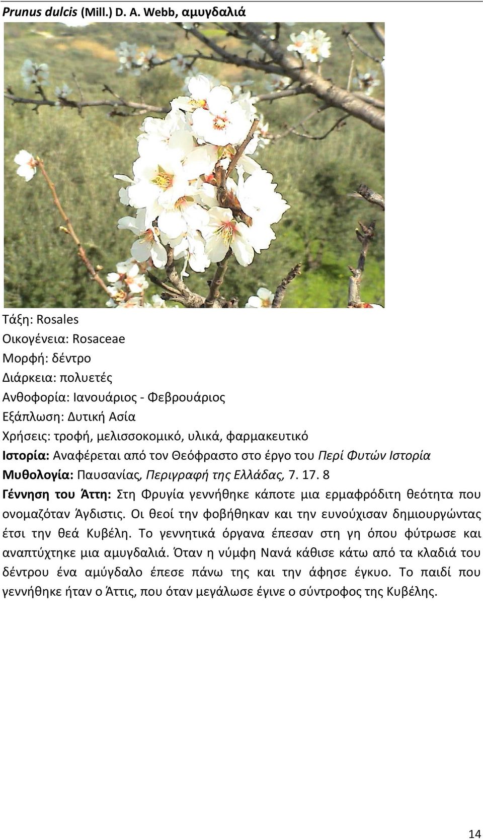 Θεόφραστο στο έργο του Περί Φυτών Ιστορία Μυθολογία: Παυσανίας, Περιγραφή της Ελλάδας, 7. 17.