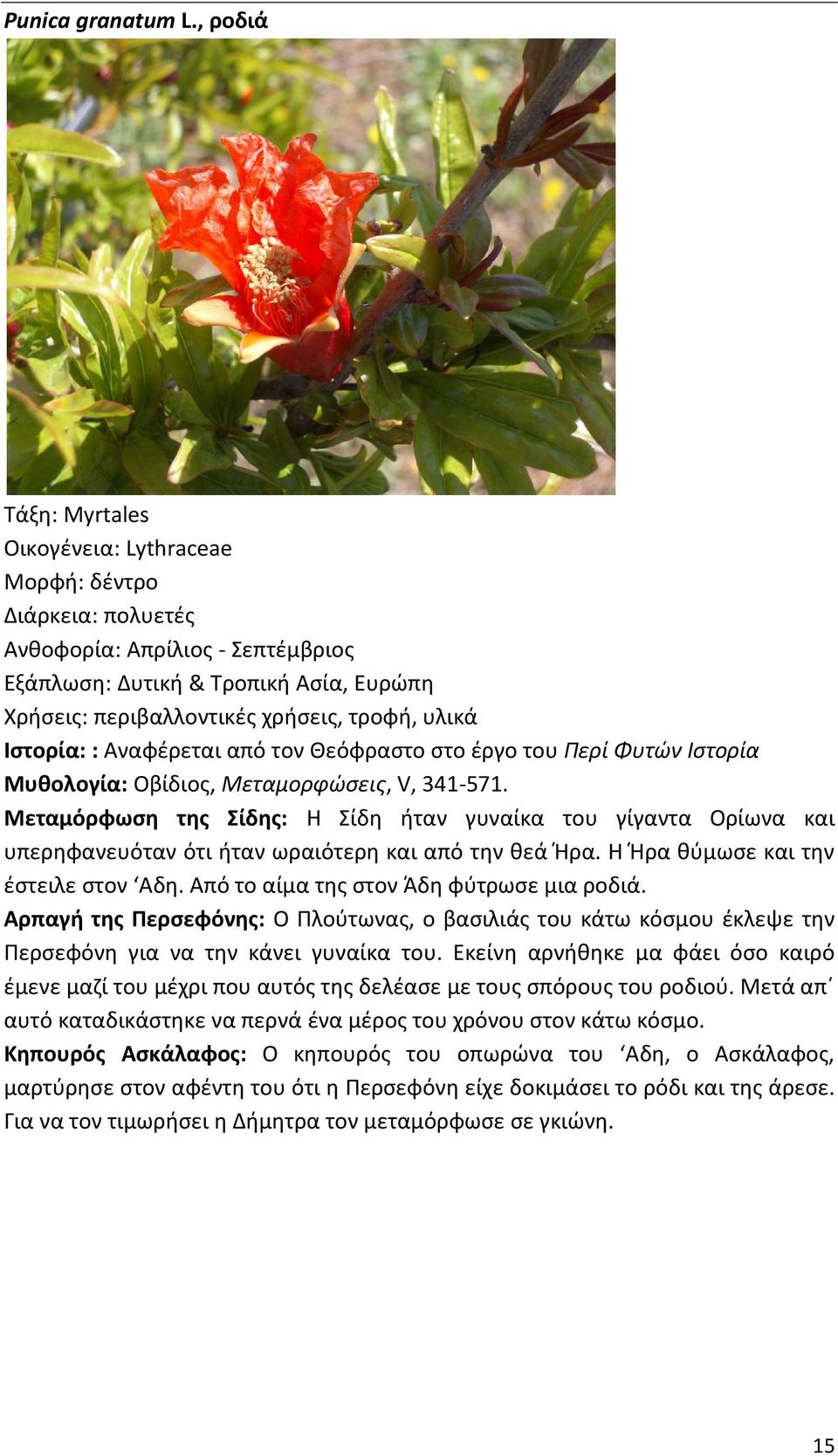 Θεόφραστο στο έργο του Περί Φυτών Ιστορία Μυθολογία: Οβίδιος, Μεταμορφώσεις, V, 341-571.