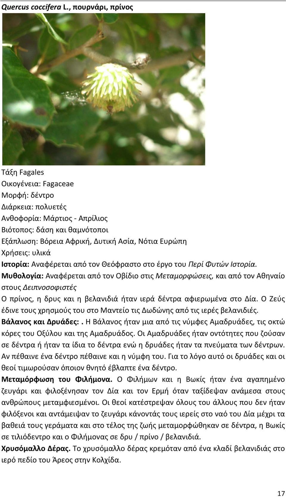από τον Θεόφραστο στο έργο του Περί Φυτών Ιστορία.