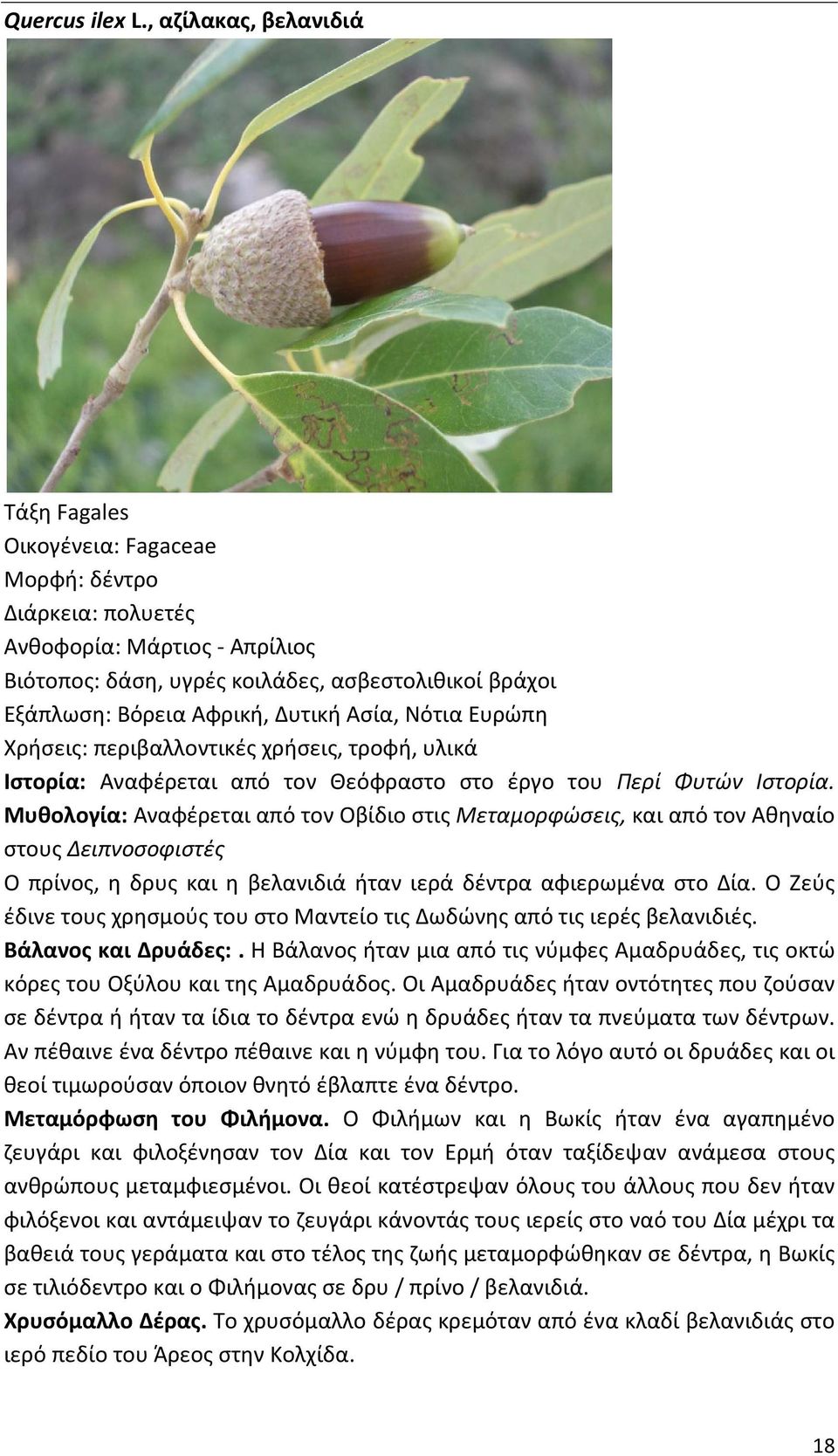 περιβαλλοντικές χρήσεις, τροφή, υλικά Ιστορία: Αναφέρεται από τον Θεόφραστο στο έργο του Περί Φυτών Ιστορία.