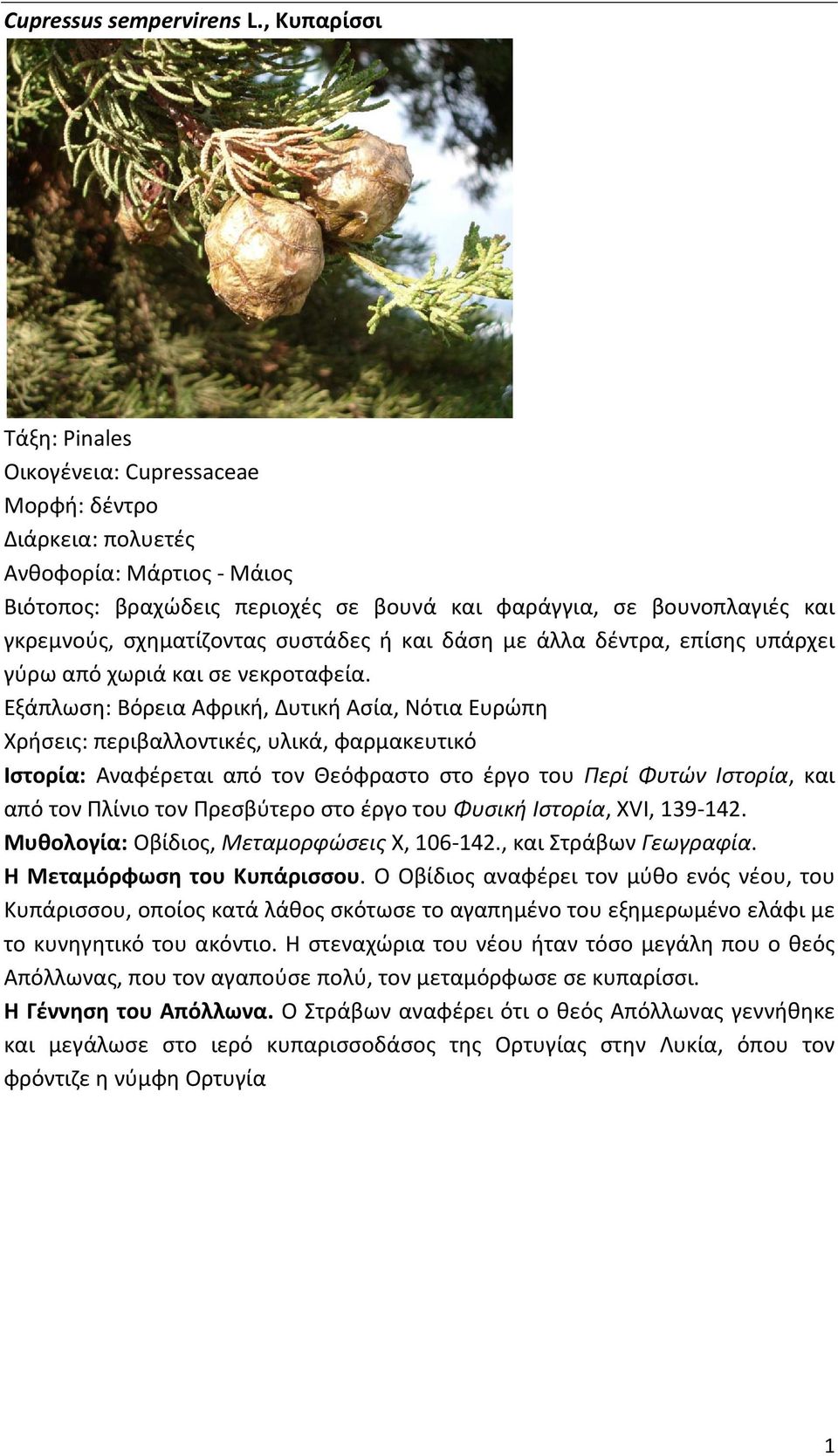 άλλα δέντρα, επίσης υπάρχει γύρω από χωριά και σε νεκροταφεία.