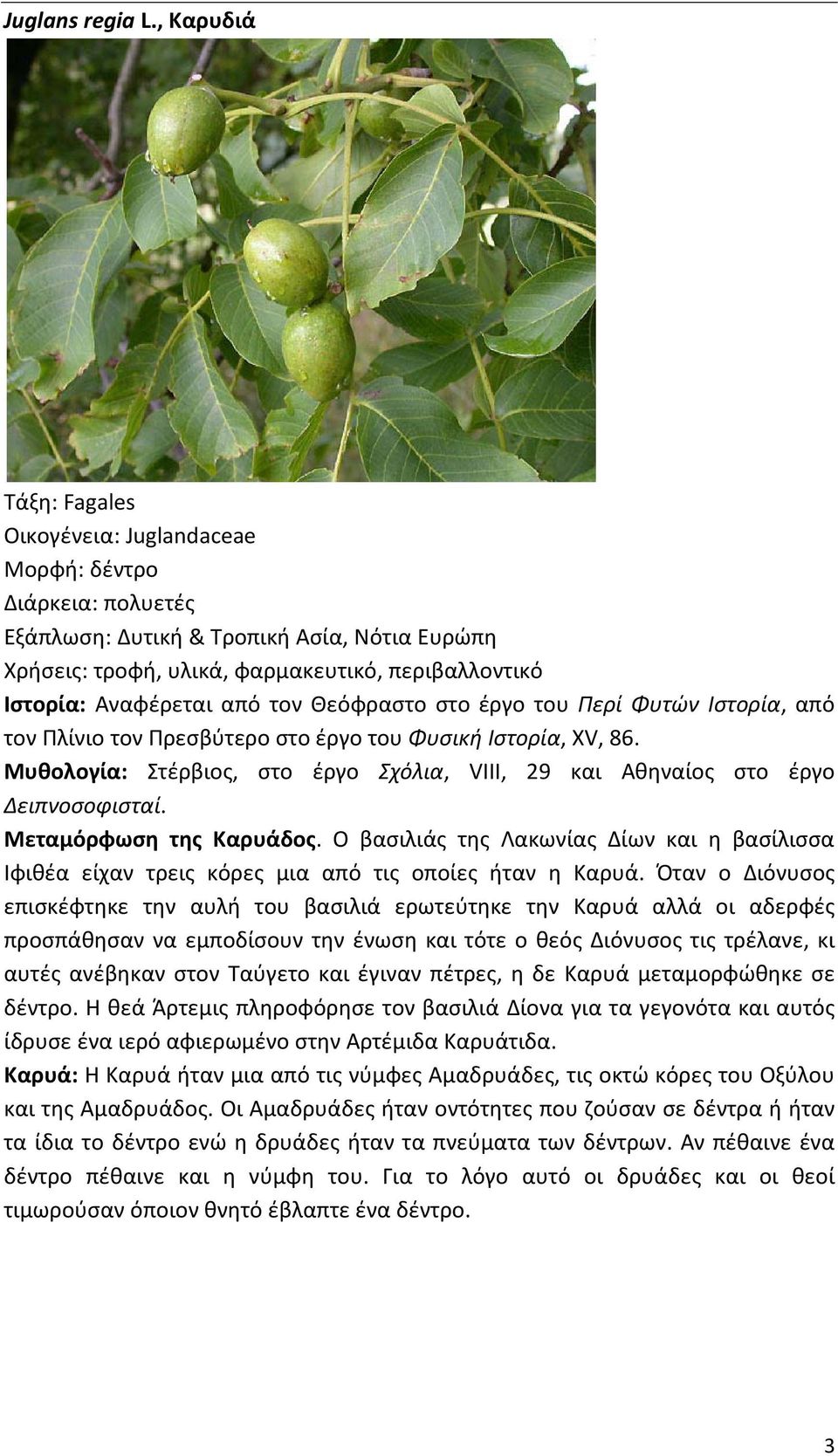 Περί Φυτών Ιστορία, από τον Πλίνιο τον Πρεσβύτερο στο έργο του Φυσική Ιστορία, XV, 86. Μυθολογία: Στέρβιος, στο έργο Σχόλια, VIII, 29 και Αθηναίος στο έργο Δειπνοσοφισταί. Μεταμόρφωση της Καρυάδος.