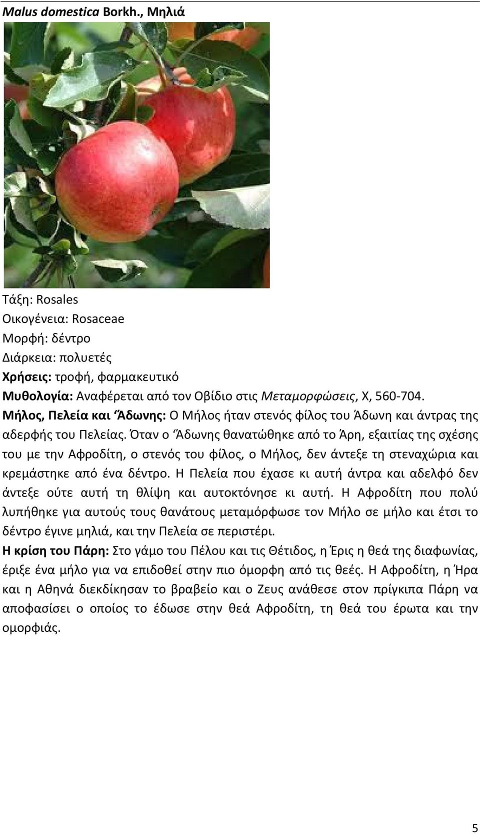 Όταν ο Άδωνης θανατώθηκε από το Άρη, εξαιτίας της σχέσης του με την Αφροδίτη, ο στενός του φίλος, ο Μήλος, δεν άντεξε τη στεναχώρια και κρεμάστηκε από ένα δέντρο.