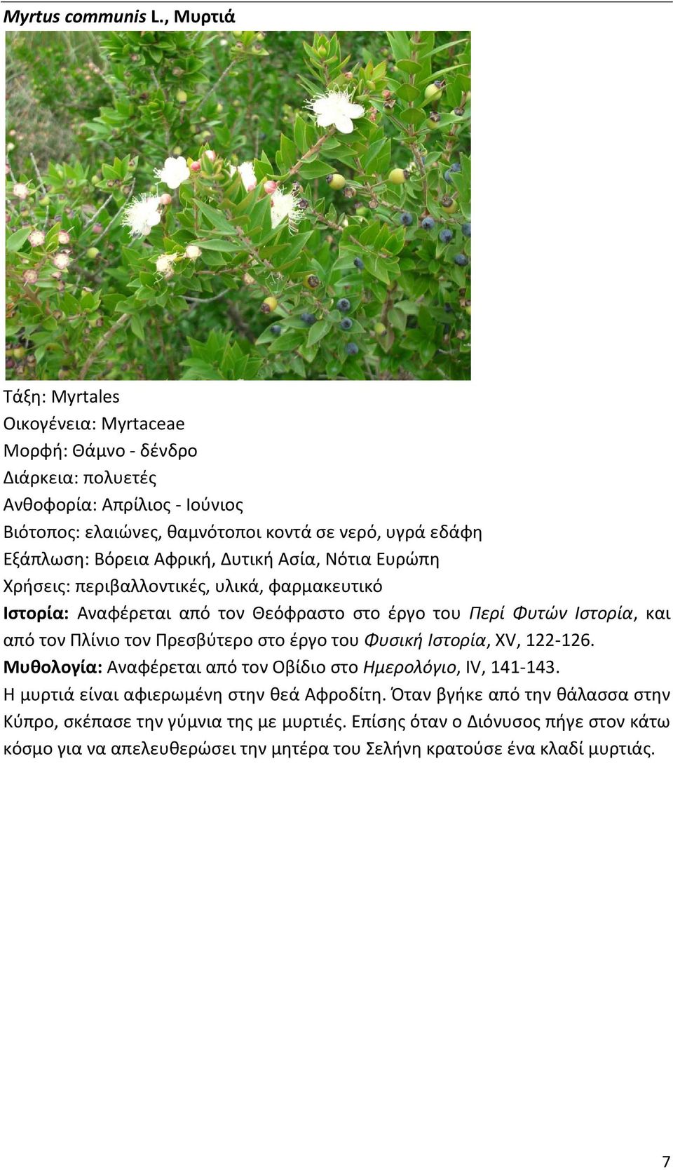 Δυτική Ασία, Νότια Ευρώπη Χρήσεις: περιβαλλοντικές, υλικά, φαρμακευτικό Ιστορία: Αναφέρεται από τον Θεόφραστο στο έργο του Περί Φυτών Ιστορία, και από τον Πλίνιο τον Πρεσβύτερο