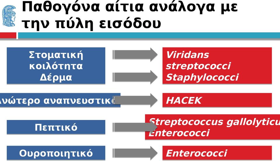 Πεπτικό Ουροποιητικό Viridans streptococci