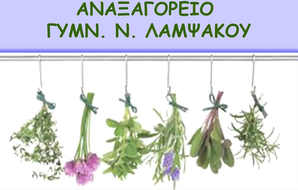 ΤΑΞΕΙΣ Α,Β & Γ ΣΥΝΤΟΝΙΣΤΡΙΕΣ ΚΑΘΗΓΗΤΡΙΕΣ