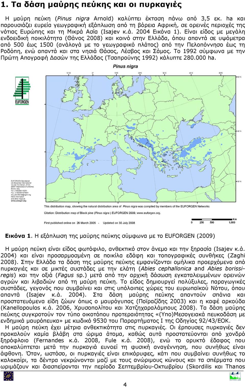 Είναι είδος με μεγάλη ενδοειδική ποικιλότητα (Θάνος 2008) και κοινό στην Ελλάδα, όπου απαντά σε υψόμετρα από 500 έως 1500 (ανάλογά με το γεωγραφικό πλάτος) από την Πελοπόννησο έως τη Ροδόπη, ενώ