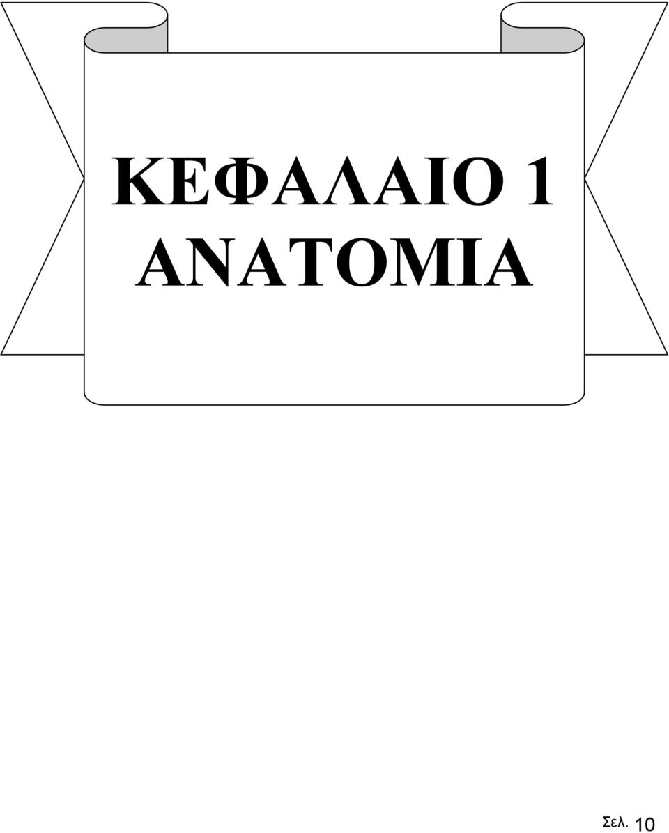 ΑΝΑΤΟΜΙΑ