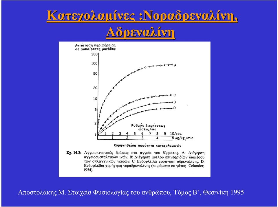 Αποστολάκης Μ.