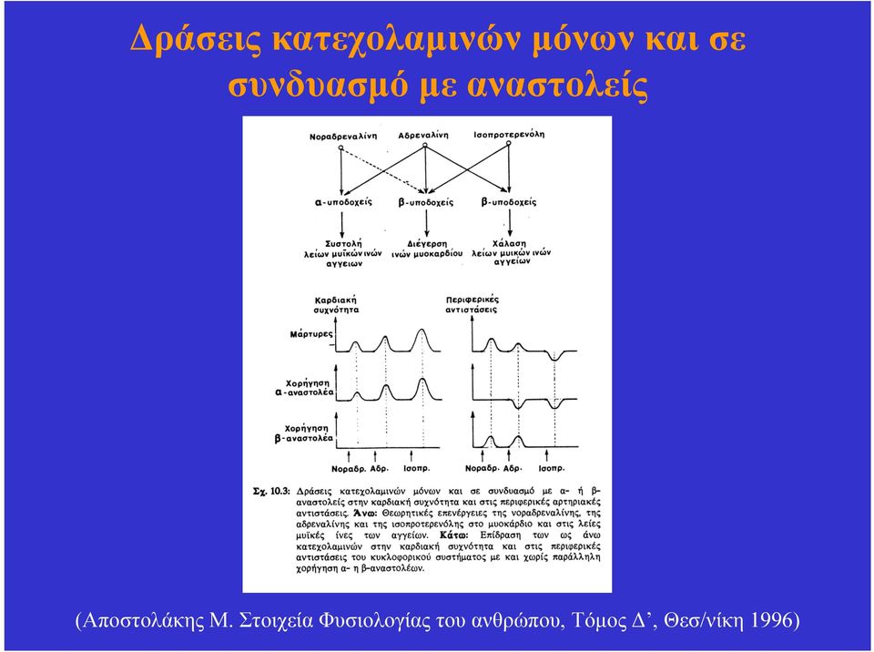 (Αποστολάκης Μ.