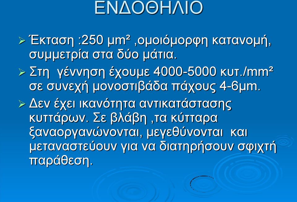 Δεν έχει ικανότητα αντικατάστασης κυττάρων.