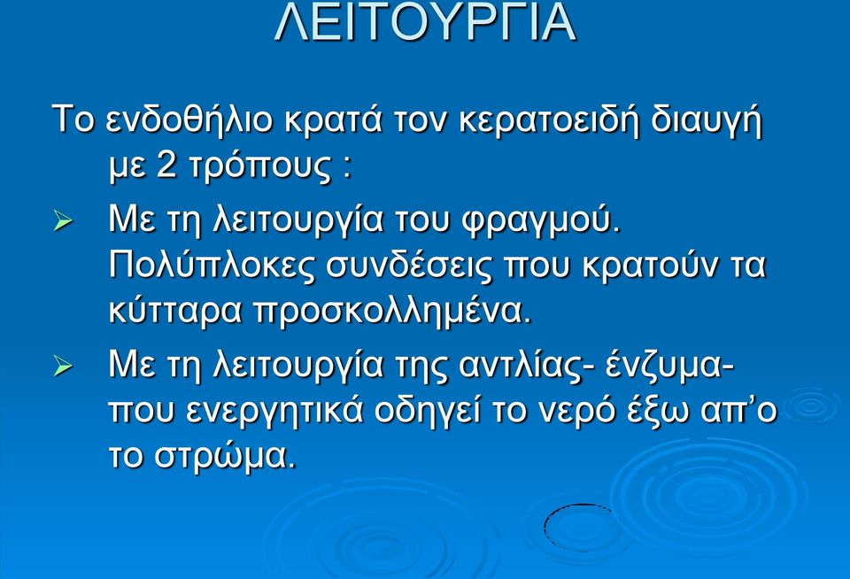 Πολύπλοκες συνδέσεις που κρατούν τα κύτταρα προσκολλημένα.