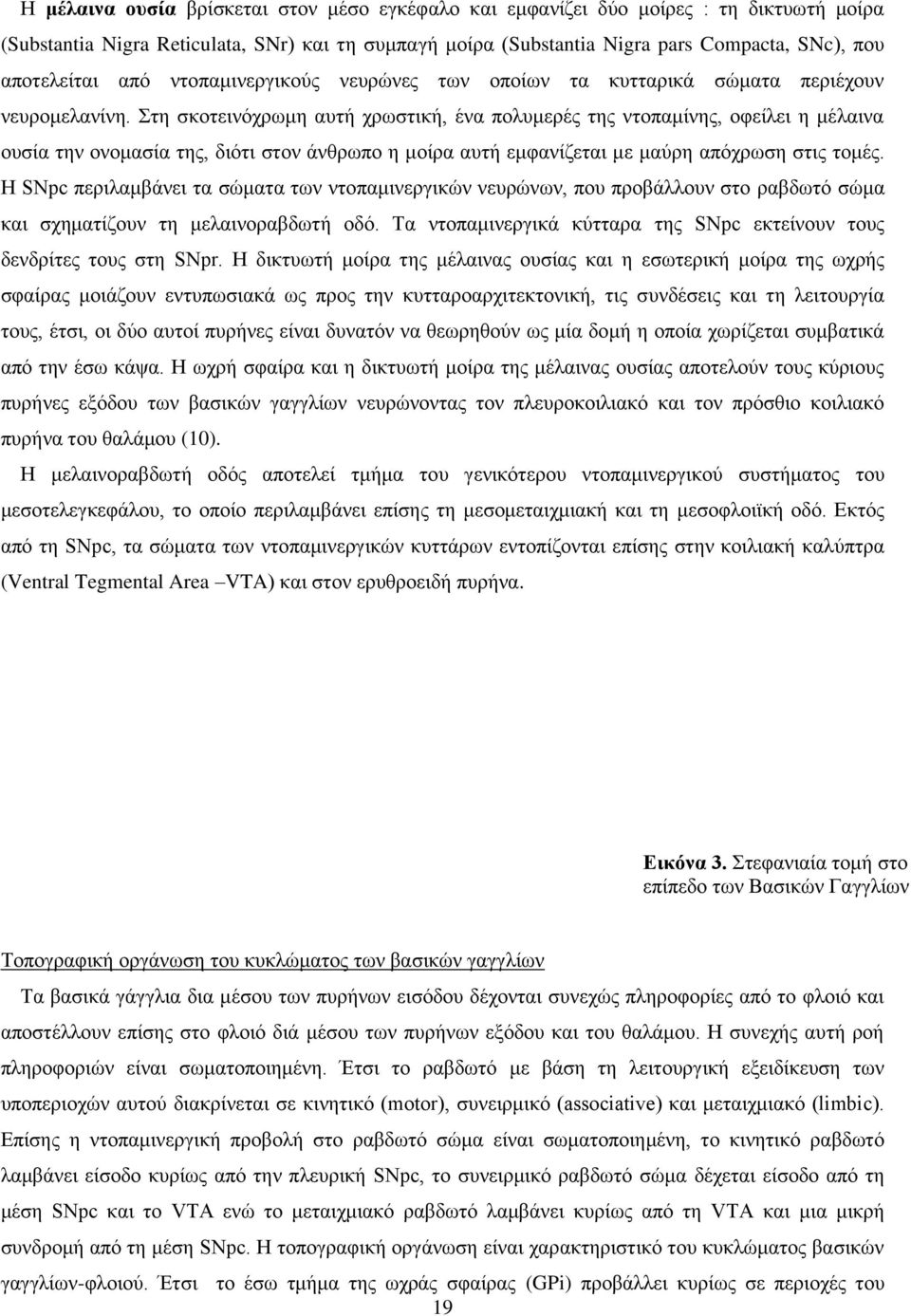 Στη σκοτεινόχρωμη αυτή χρωστική, ένα πολυμερές της ντοπαμίνης, οφείλει η μέλαινα ουσία την ονομασία της, διότι στον άνθρωπο η μοίρα αυτή εμφανίζεται με μαύρη απόχρωση στις τομές.