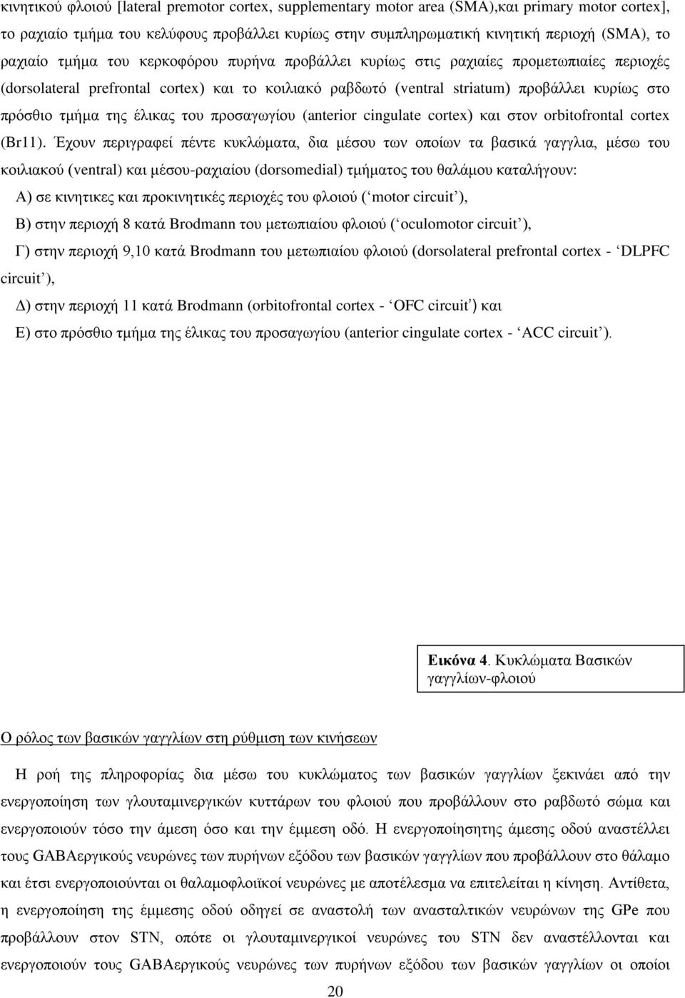 τμήμα της έλικας του προσαγωγίου (anterior cingulate cortex) και στον orbitofrontal cortex (Br11).