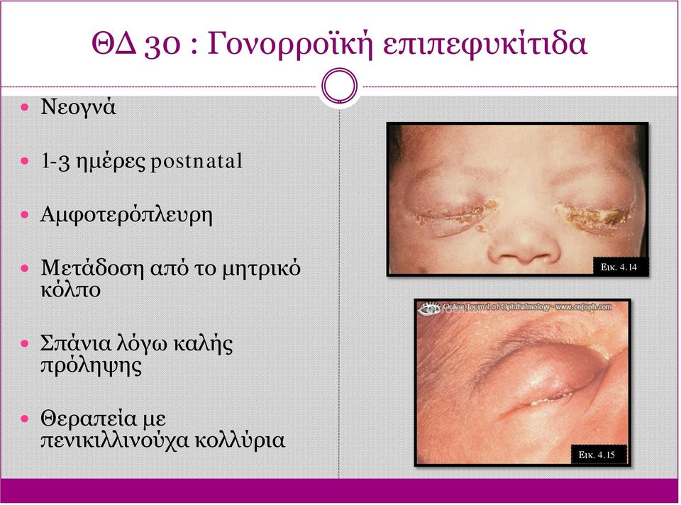 το μητρικό κόλπο Εικ. 4.