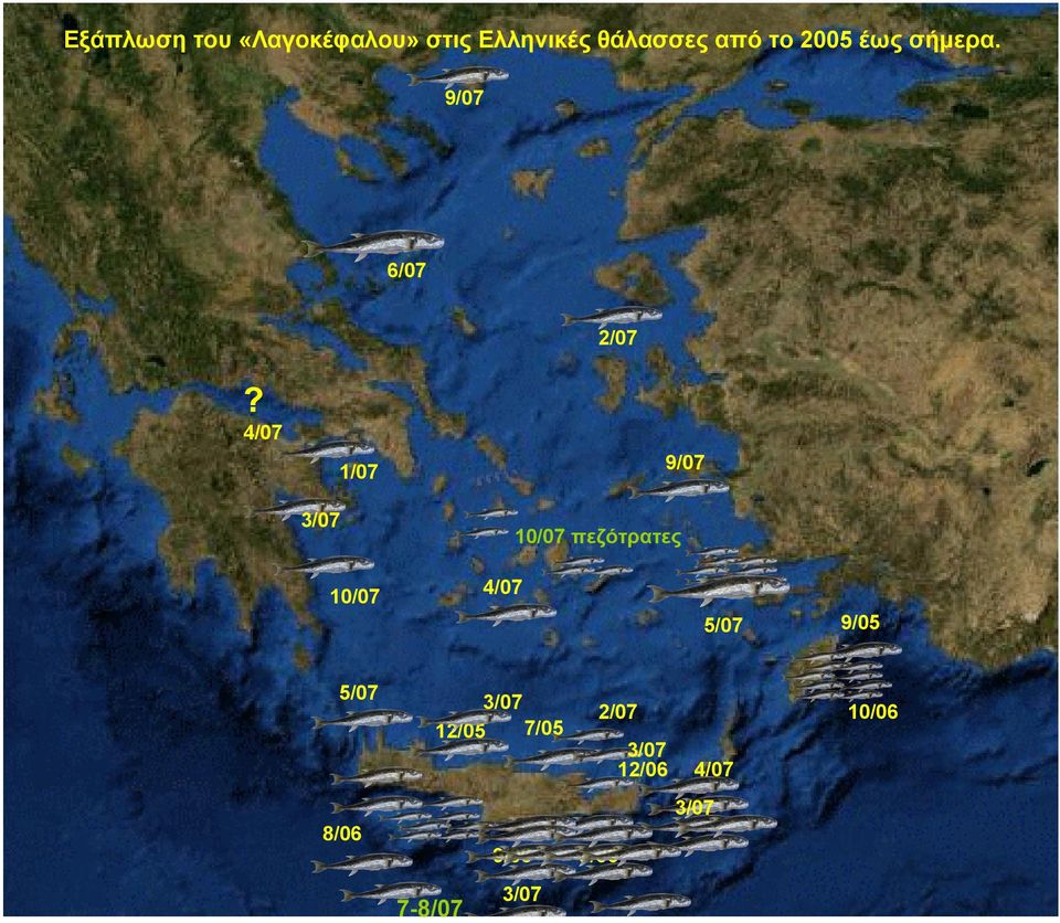 και εδρικό πτερύγιο Ουρά «μισοφέγγαρο»