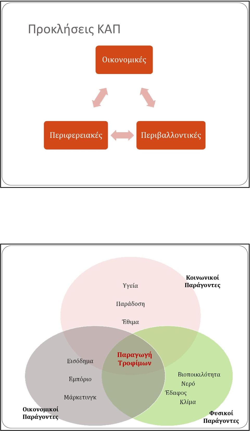 Παραγωγή Τροφίμων