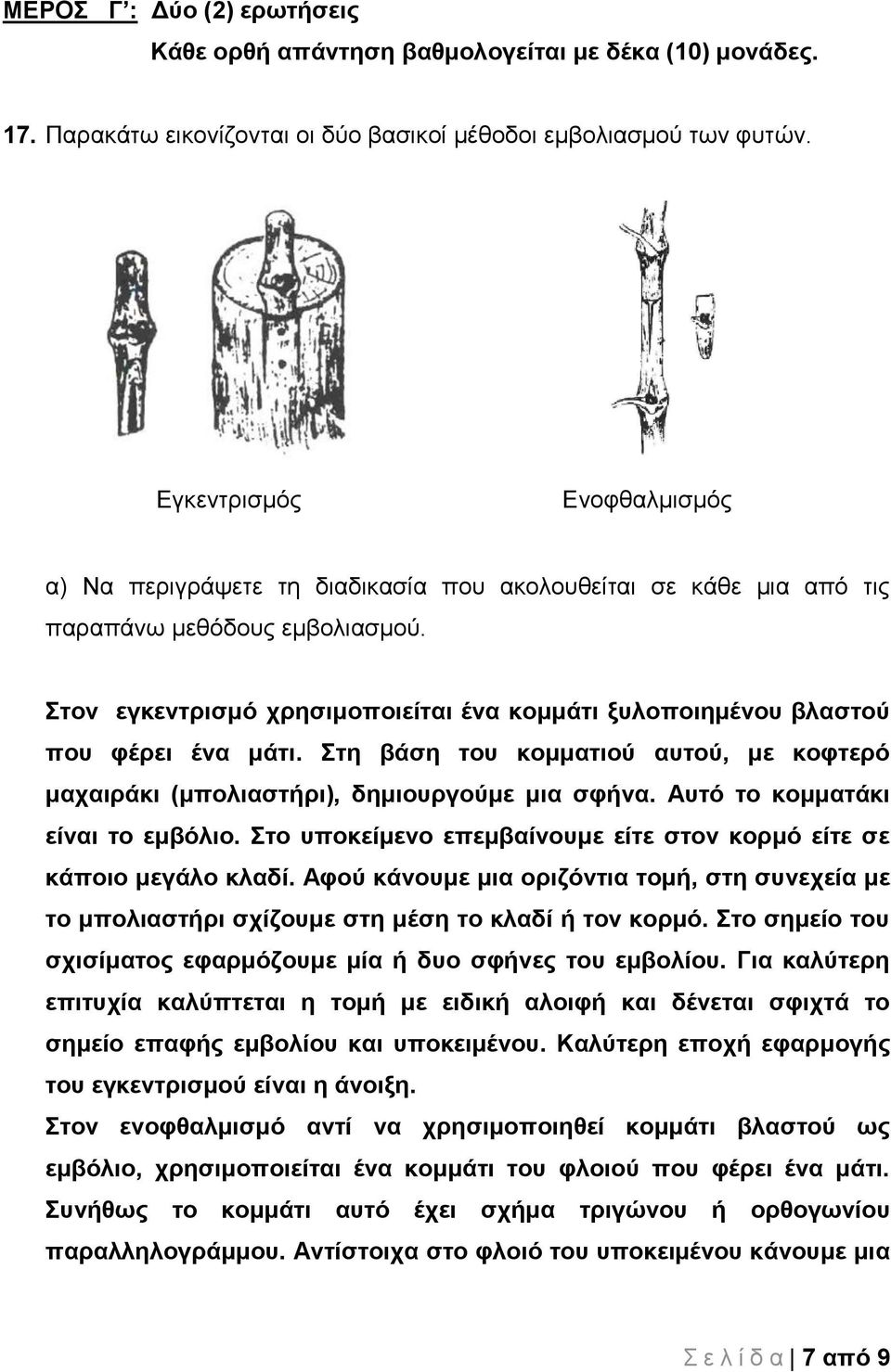 Στον εγκεντρισμό χρησιμοποιείται ένα κομμάτι ξυλοποιημένου βλαστού που φέρει ένα μάτι. Στη βάση του κομματιού αυτού, με κοφτερό μαχαιράκι (μπολιαστήρι), δημιουργούμε μια σφήνα.