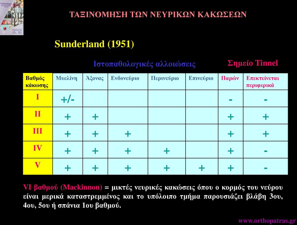 + + + ΙV + + + + + - V + + + + + + - VI βαθμού (Mackinnon) = μικτές νευρικές κακώσεις όπου ο κορμός του