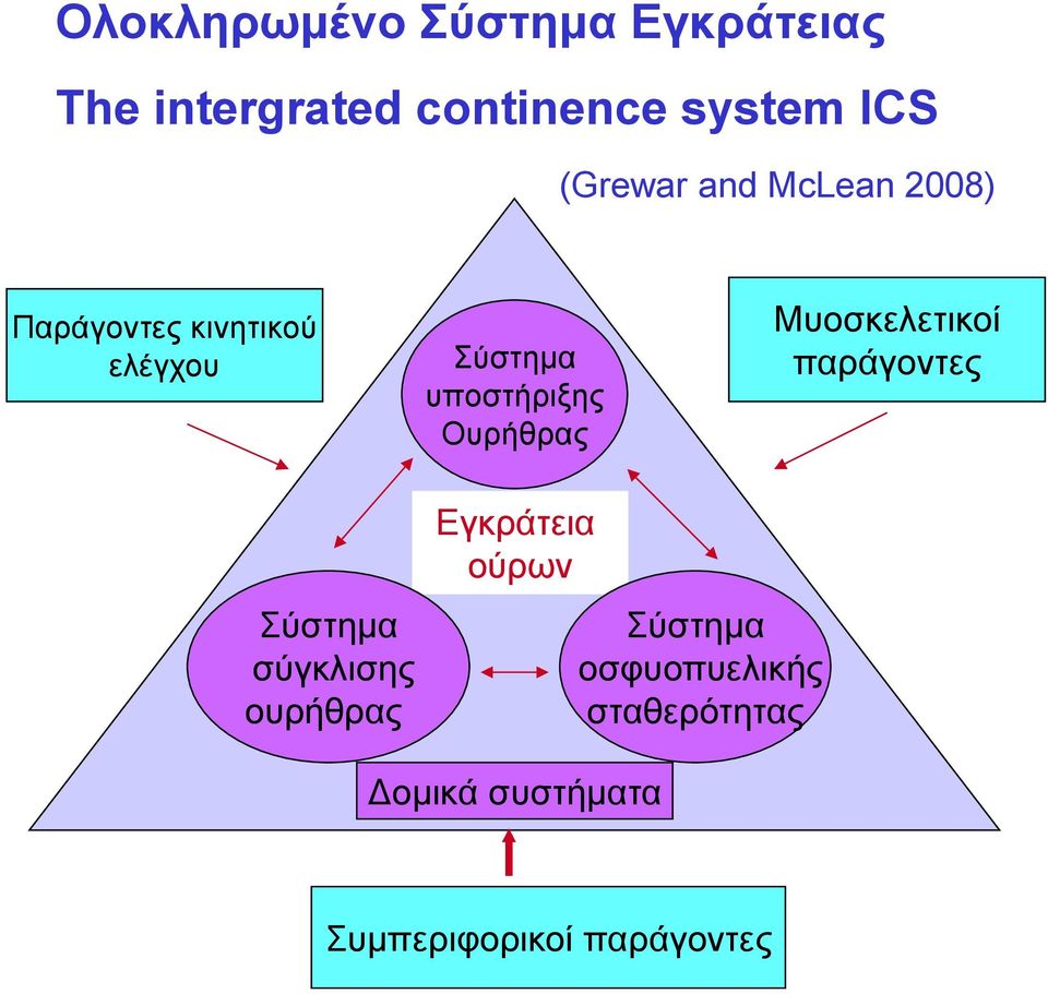 Ουρήθρας Μυοσκελετικοί παράγοντες Σύστημα σύγκλισης ουρήθρας Εγκράτεια