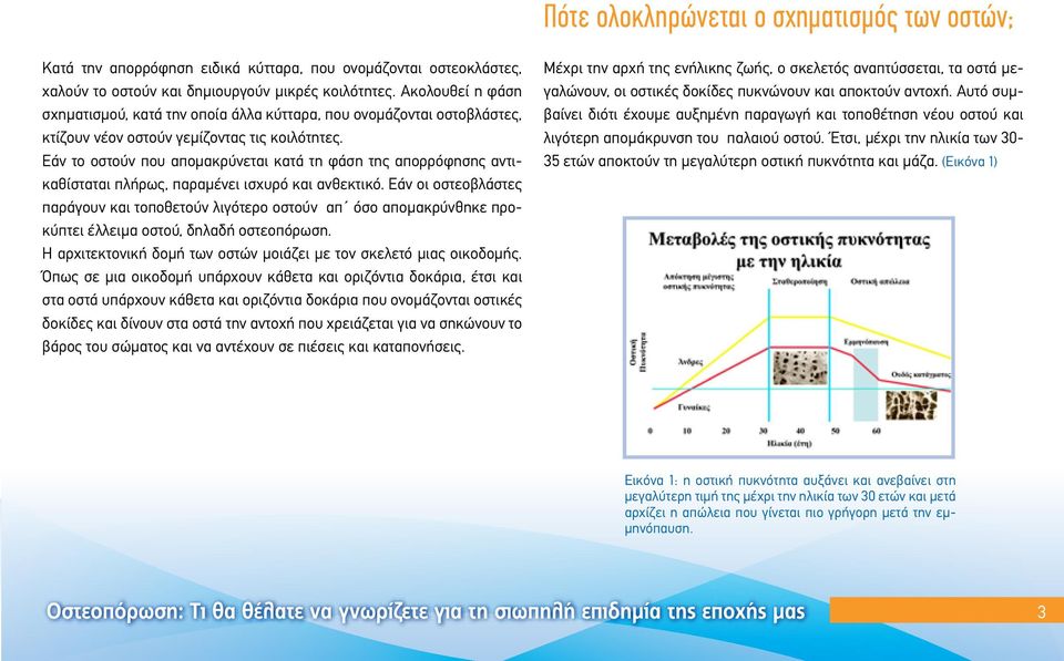 Εάν το οστούν που απομακρύνεται κατά τη φάση της απορρόφησης αντικαθίσταται πλήρως, παραμένει ισχυρό και ανθεκτικό.