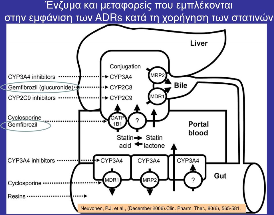 των στατινών Neuvonen, P.J. et al.