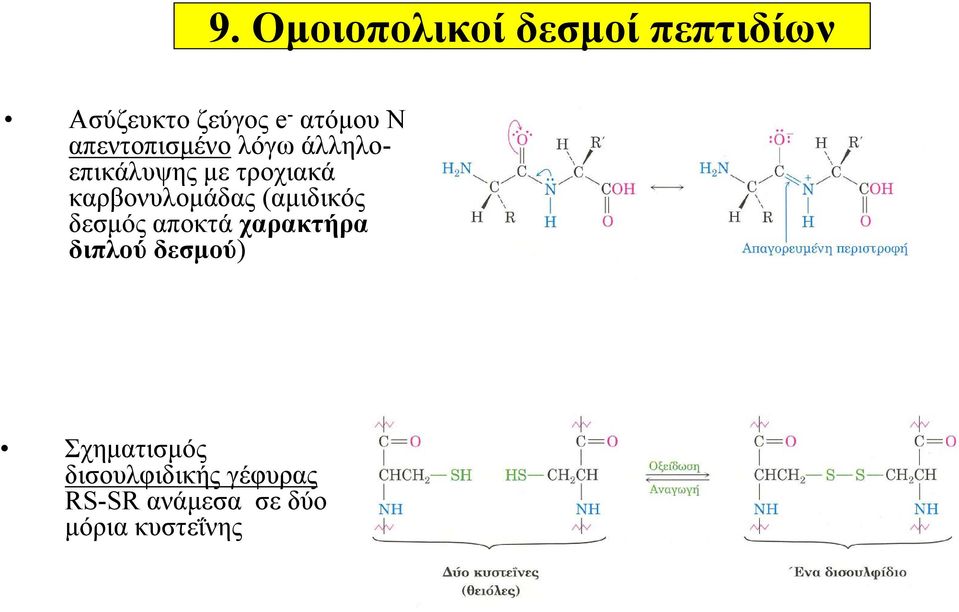 καρβονυλομάδας (αμιδικός δεσμός αποκτά χαρακτήρα διπλού