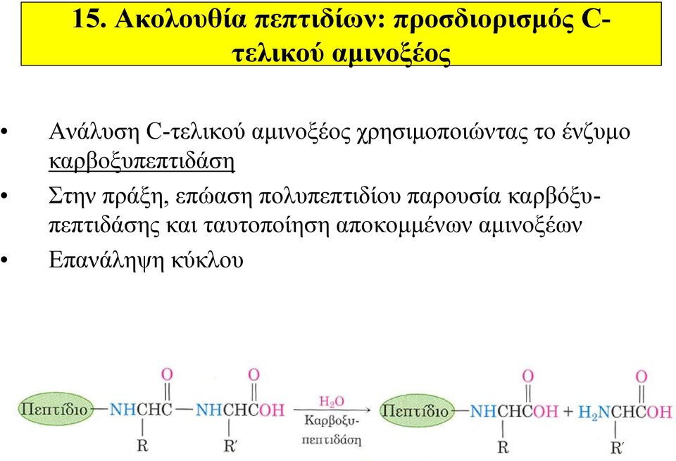 καρβοξυπεπτιδάση Στην πράξη, επώαση πολυπεπτιδίου παρουσία