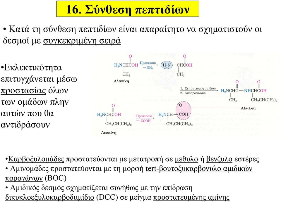 με μετατροπή σε μεθυλο ήβενζυλοεστέρες Αμινομάδες προστατεύονται με τη μορφή tert-βουτοξυκαρβονυλο αμιδικών παραγώγων
