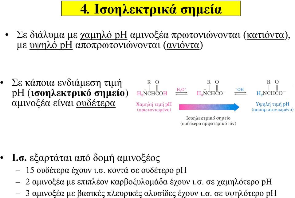 Ι.σ. εξαρτάται από δομή αμινοξέος 15 ουδέτερα έχουν ι.σ. κοντά σε ουδέτερο ph 2 αμινοξέα με επιπλέον καρβοξυλομάδα έχουν ι.