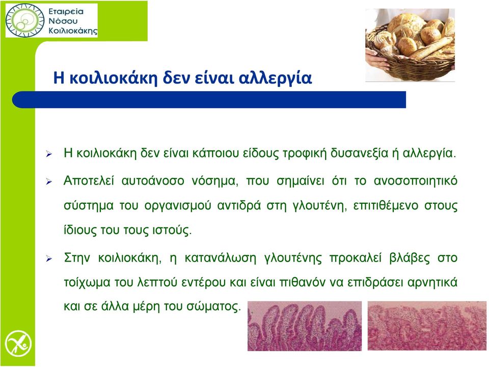 γλουτένη, επιτιθέμενο στους ίδιους του τους ιστούς.