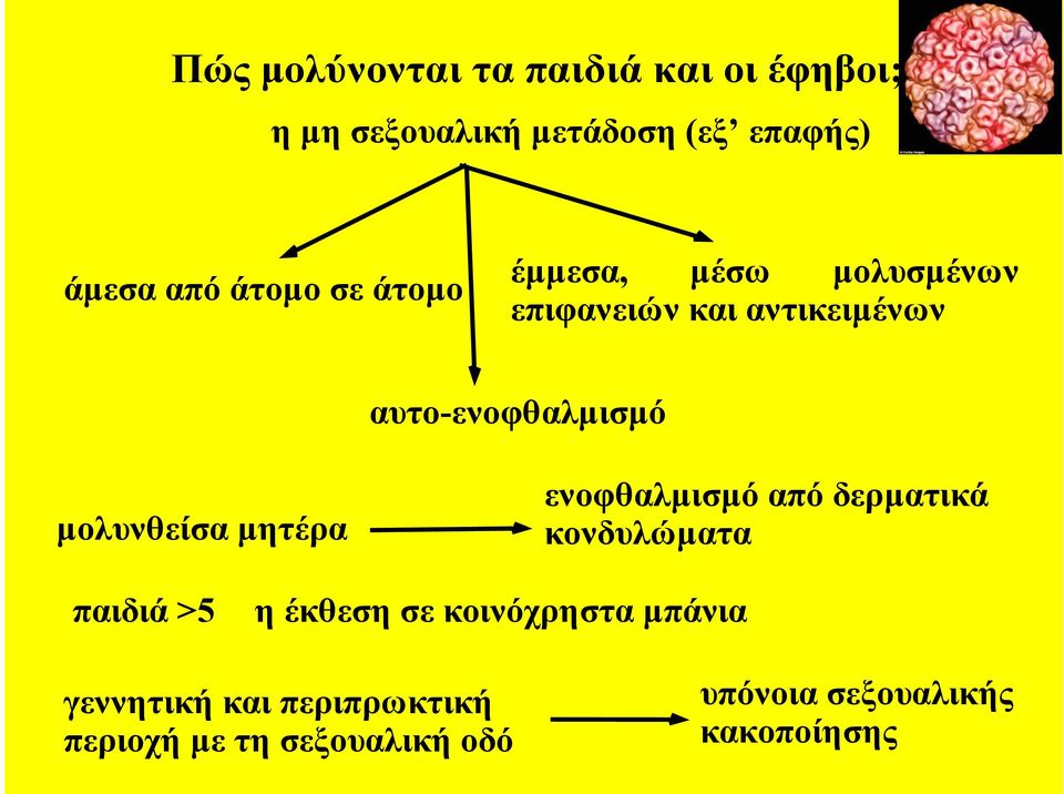 µολυνθείσα µητέρα ενοφθαλµισµό από δερµατικά κονδυλώµατα παιδιά >5 η έκθεση σε