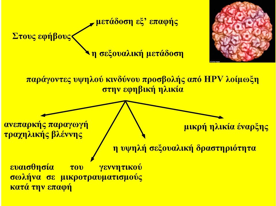 παραγωγή τραχηλικής βλέννης µικρή ηλικία έναρξης η υψηλή σεξουαλική