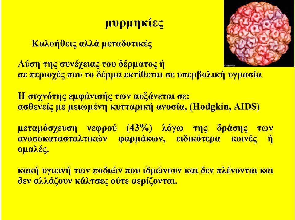 (Hodgkin, AIDS) µεταµόσχευση νεφρού (43%) λόγω της δράσης των ανοσοκατασταλτικών φαρµάκων, ειδικότερα