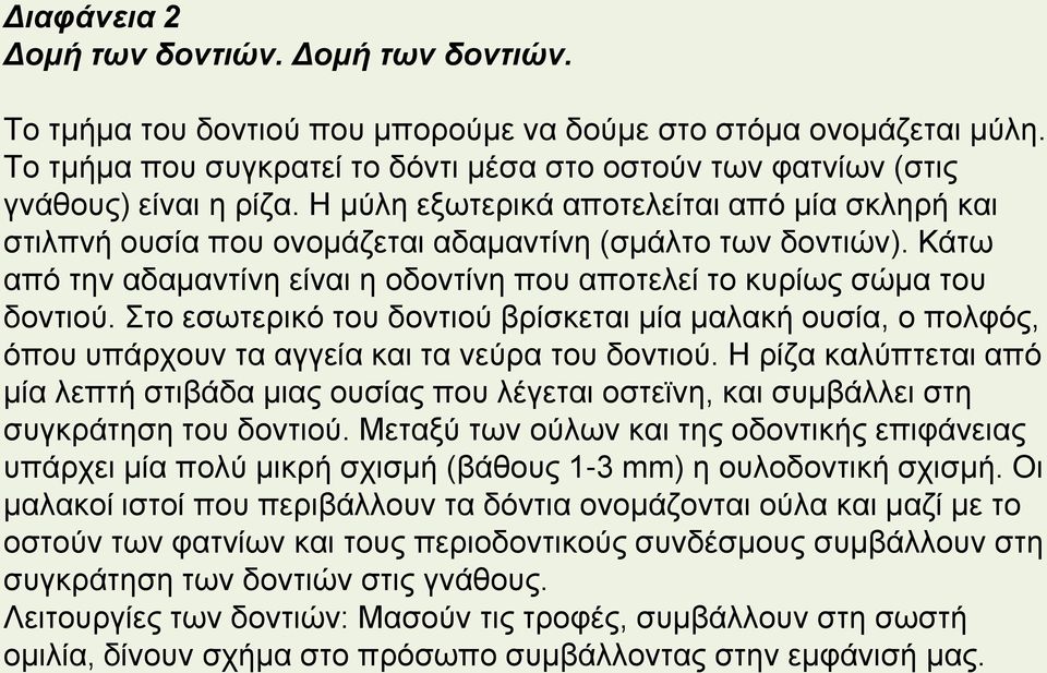 Κάτω από την αδαμαντίνη είναι η οδοντίνη που αποτελεί το κυρίως σώμα του δοντιού. Στο εσωτερικό του δοντιού βρίσκεται μία μαλακή ουσία, ο πολφός, όπου υπάρχουν τα αγγεία και τα νεύρα του δοντιού.