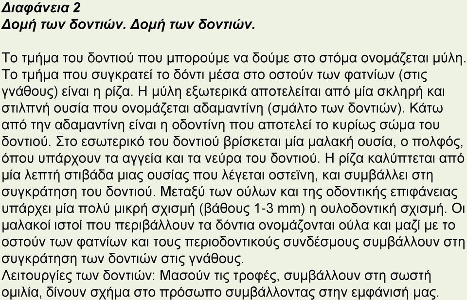 Κάτω από την αδαμαντίνη είναι η οδοντίνη που αποτελεί το κυρίως σώμα του δοντιού. Στο εσωτερικό του δοντιού βρίσκεται μία μαλακή ουσία, ο πολφός, όπου υπάρχουν τα αγγεία και τα νεύρα του δοντιού.