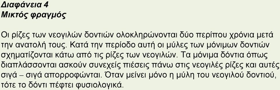 Κατά την περίοδο αυτή οι μύλες των μόνιμων δοντιών σχηματίζονται κάτω από τις ρίζες των νεογιλών.