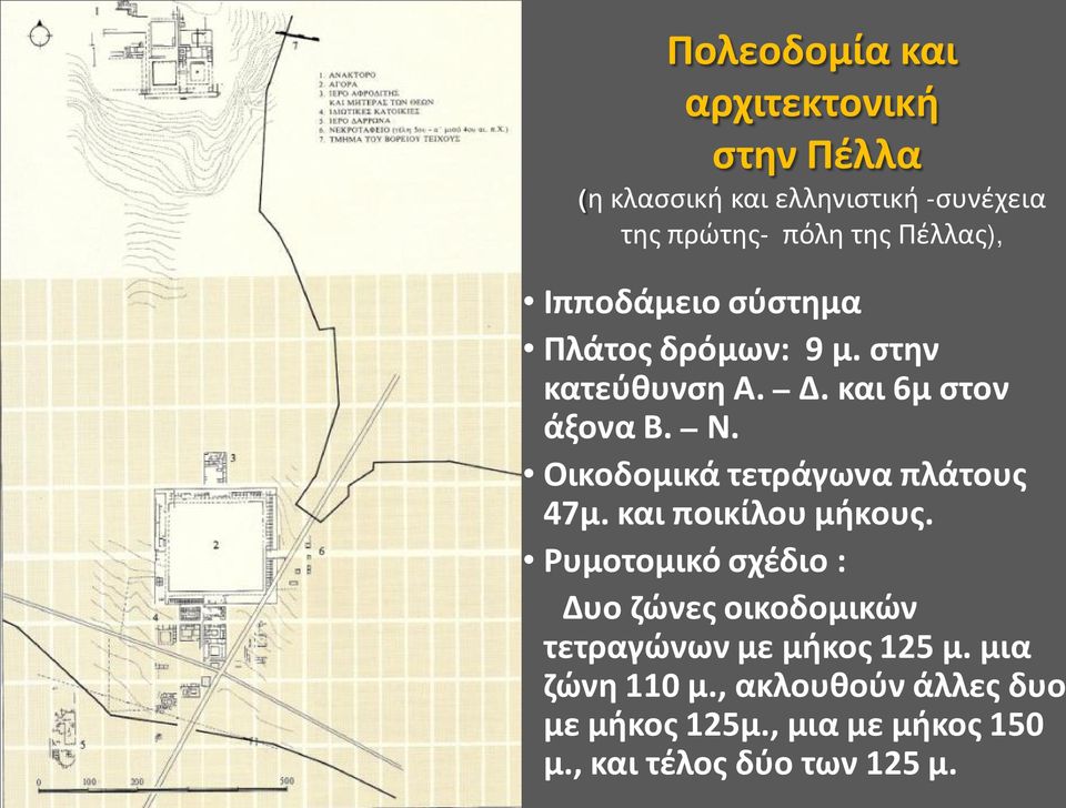 Οικοδομικά τετράγωνα πλάτους 47μ. και ποικίλου μήκους.