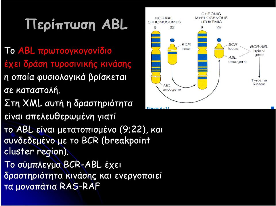 Στη XML αυτή η δραστηριότητα είναι απελευθερωµένη γιατί το ABL είναι µετατοπισµένο