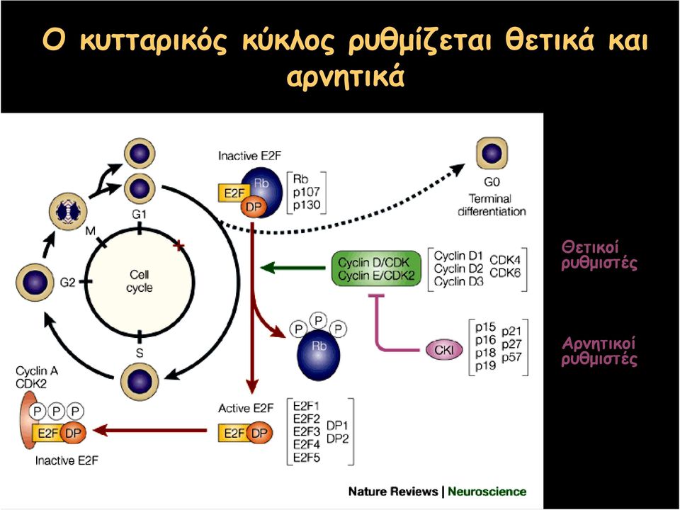 αρνητικά Θετικοί