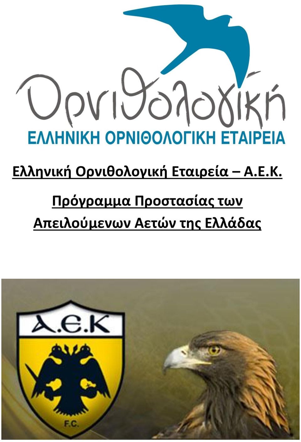 Πρόγραμμα Προστασίας