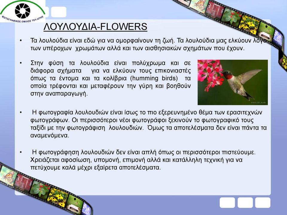 στην αναπαραγωγή. Η φωτογραφία λουλουδιών είναι ίσως το πιο εξερευνημένο θέμα των ερασιτεχνών φωτογράφων.