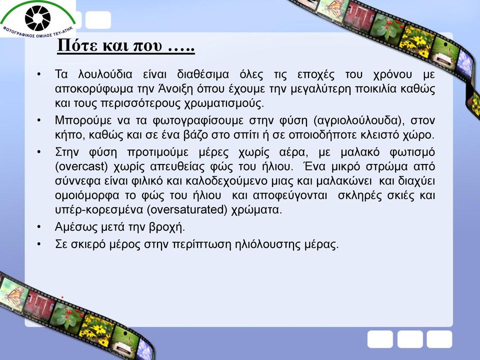 Μπορούμε να τα φωτογραφίσουμε στην φύση (αγριολούλουδα), στον κήπο, καθώς και σε ένα βάζο στο σπίτι ή σε οποιοδήποτε κλειστό χώρο.