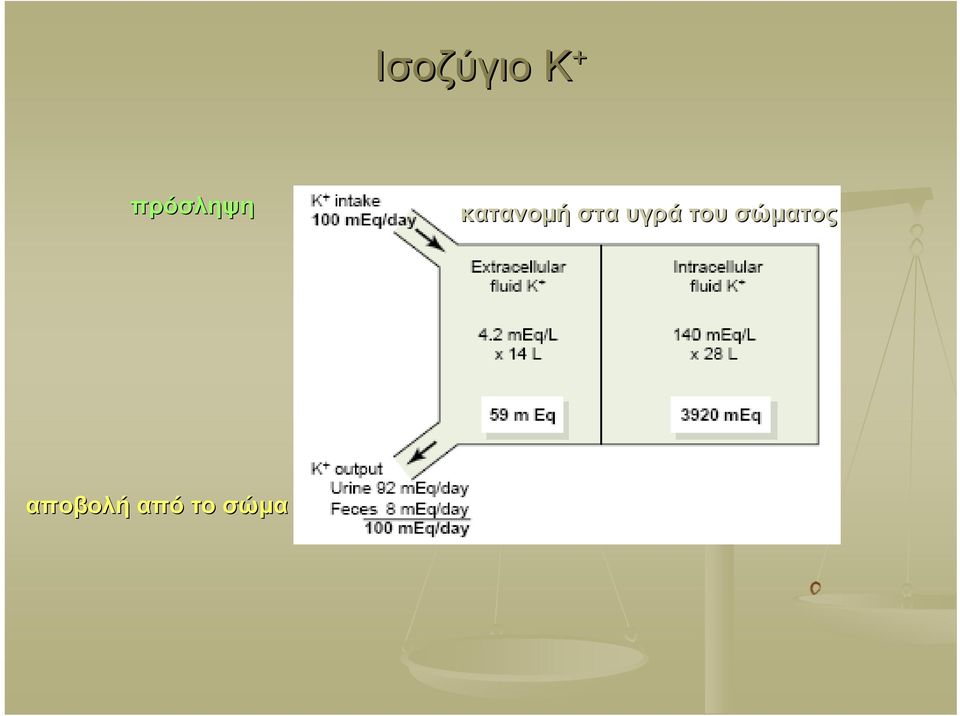 στα υγρά του