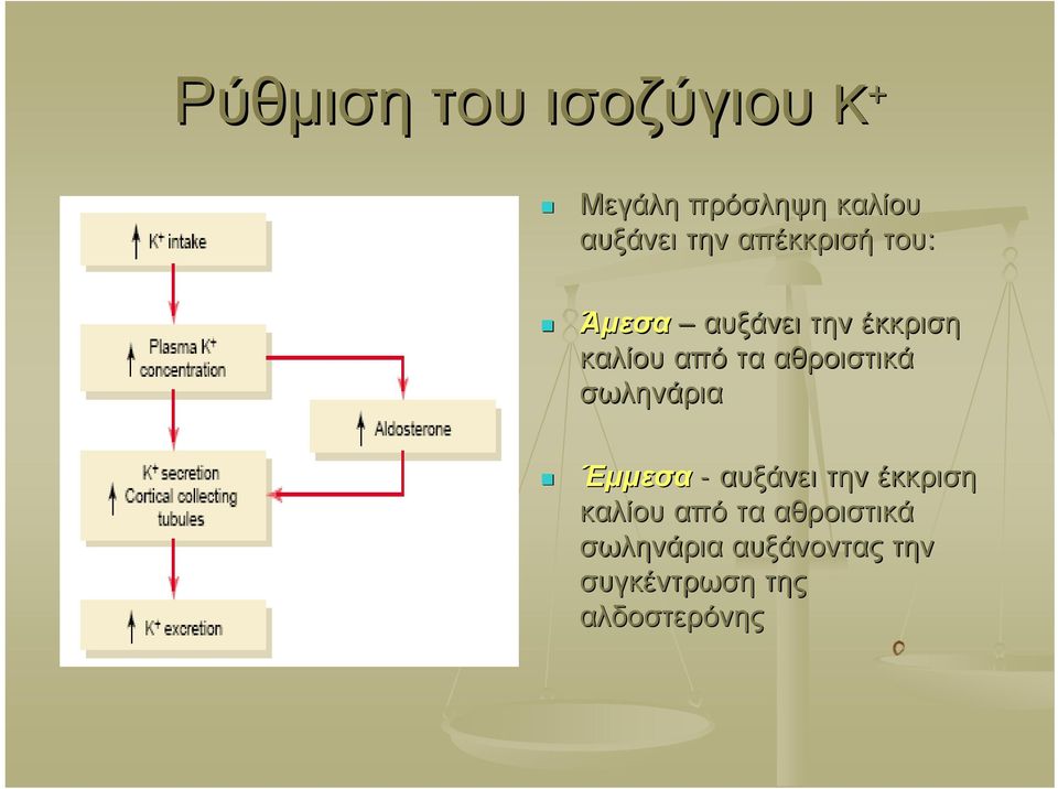 αθροιστικά σωληνάρια Έμμεσα - αυξάνει την έκκριση καλίου από